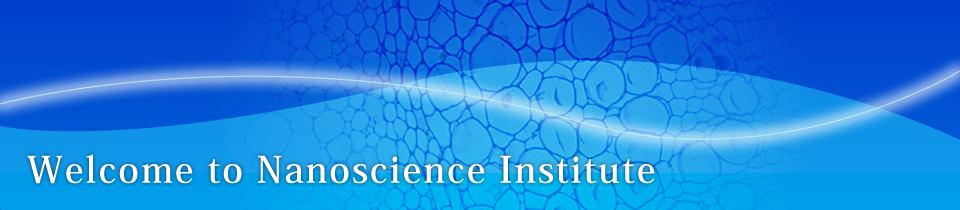 Nanoscience Institute